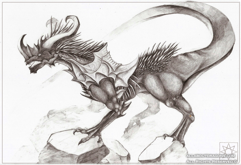 2202-dragon-Dragon_in_the_Mist_by_EmilyHenshall.png