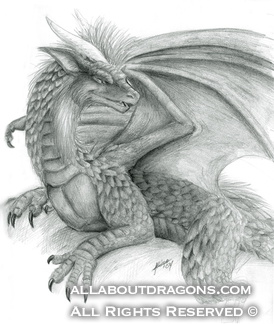 2209-dragon-Black_Dr