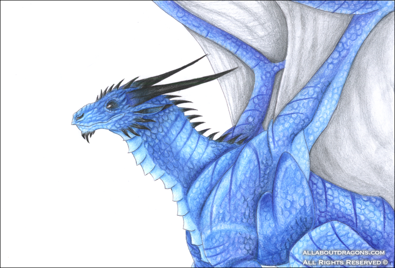 2219-dragon-Blue_Dragon_by_Tirana_Weaving.png