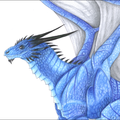 2219-dragon-Blue_Dra