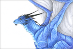 2219-dragon-Blue_Dra