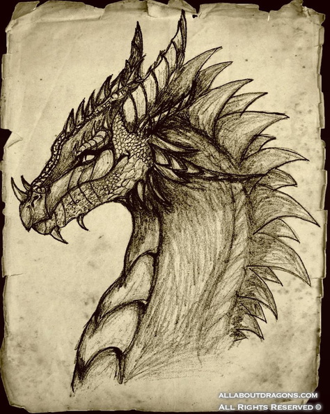 2235-dragon-cheerful_dragon_portrait_by_fajansik-d497xek.jpg