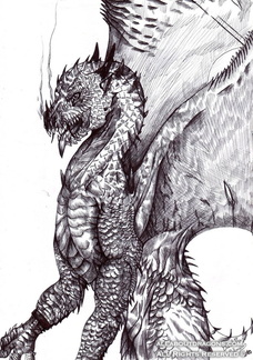 2326-dragon-The_Drag