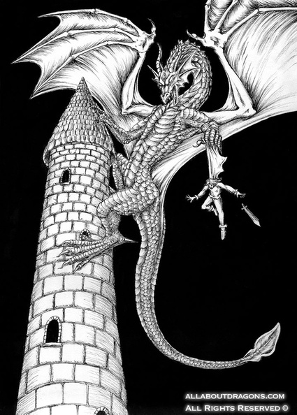 2342-dragon-Don__t_Piss_Off_a_Dragon_by_squeakychewtoy.jpg