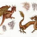 2351-dragon-dragon_s