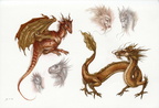 2351-dragon-dragon_s