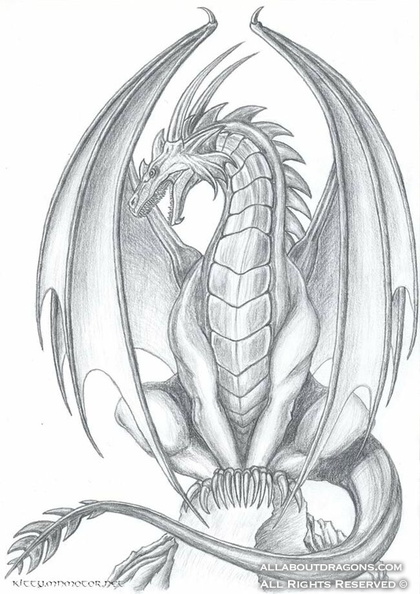 2354-dragon-Ruth_Thompson__s_Dragon_by_MetalDragoness.jpg