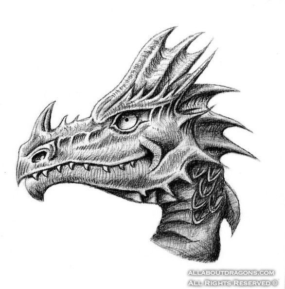 2412-dragon-Dragon_by_Rebs_of_the_Realm.jpg