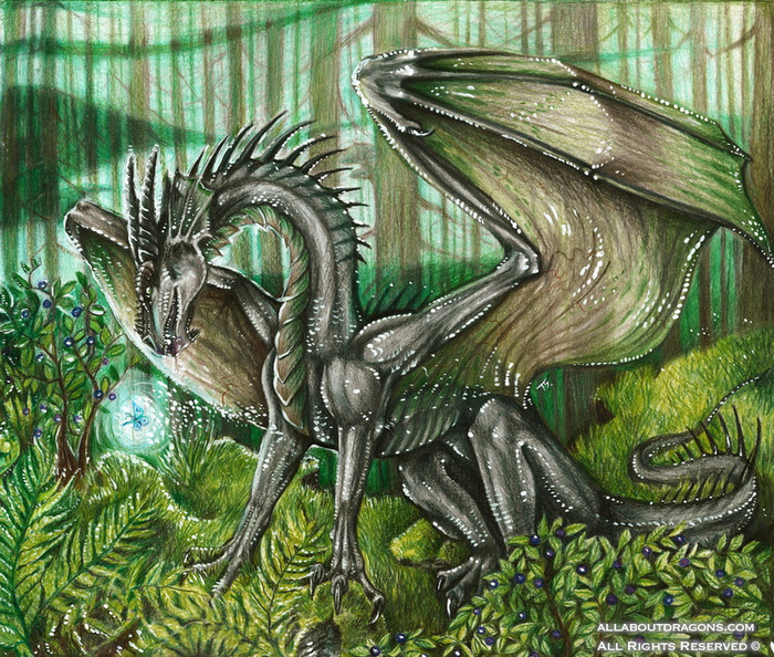 2428-dragon-sweet_forest_by_rennobp-d3k8ltl.jpg
