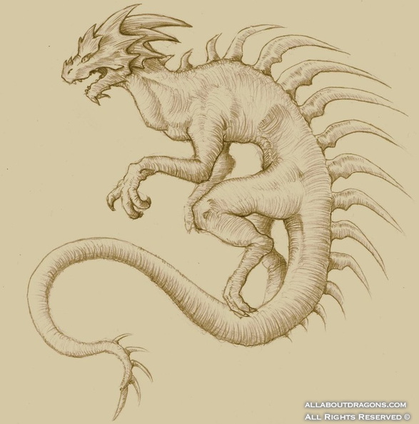 2459-dragon-Dragon_anatomy_by_Mosaic00.jpg