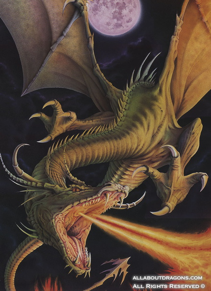 0488-dragon-dragons-splayedsole.jpg