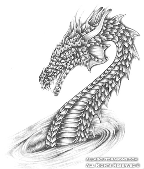 0074-dragon-dragon1.jpg