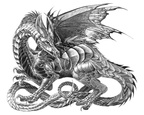 0464-dragon-dragon11