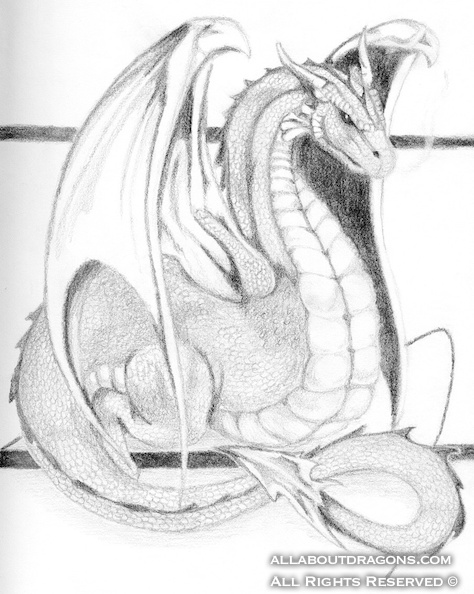 2269-dragon-dragon