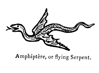 File:Amphiptere.gif