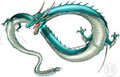 Manda dragon.jpg