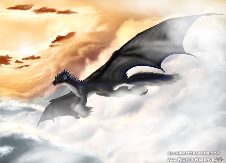 0244-dragon+flying-a