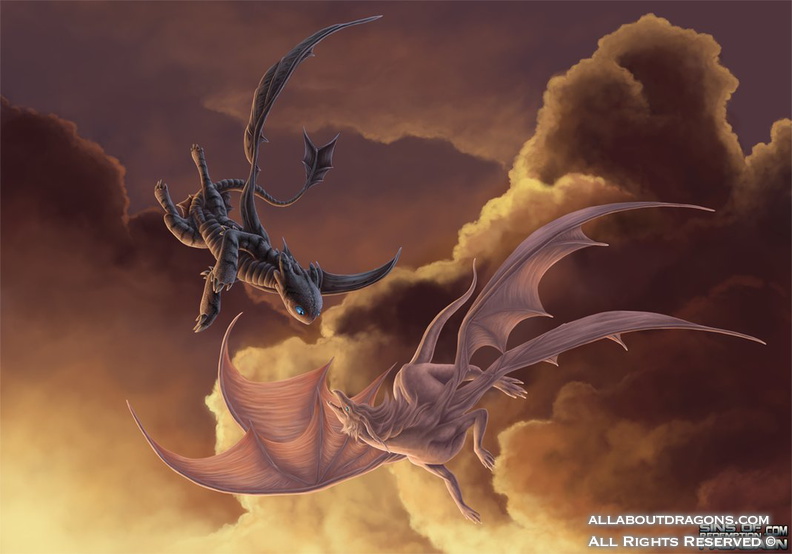 0082-dragons+flying-