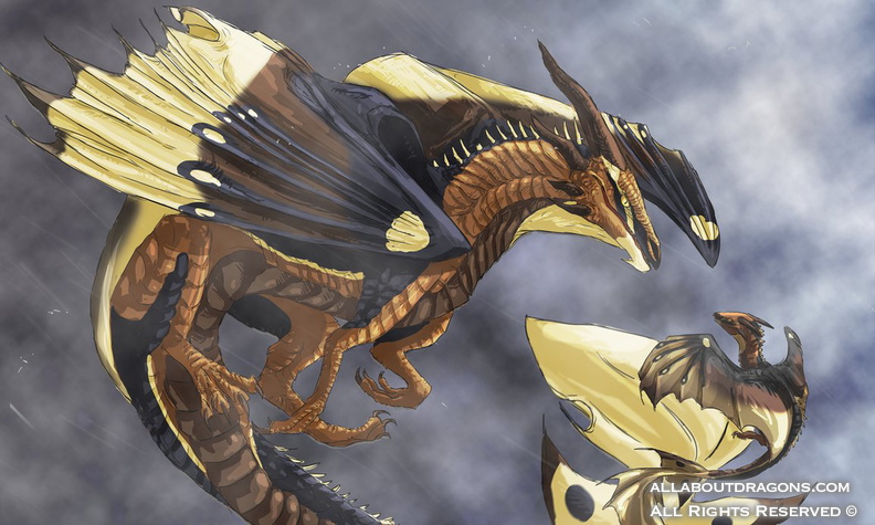 1508-dragon+flying-o