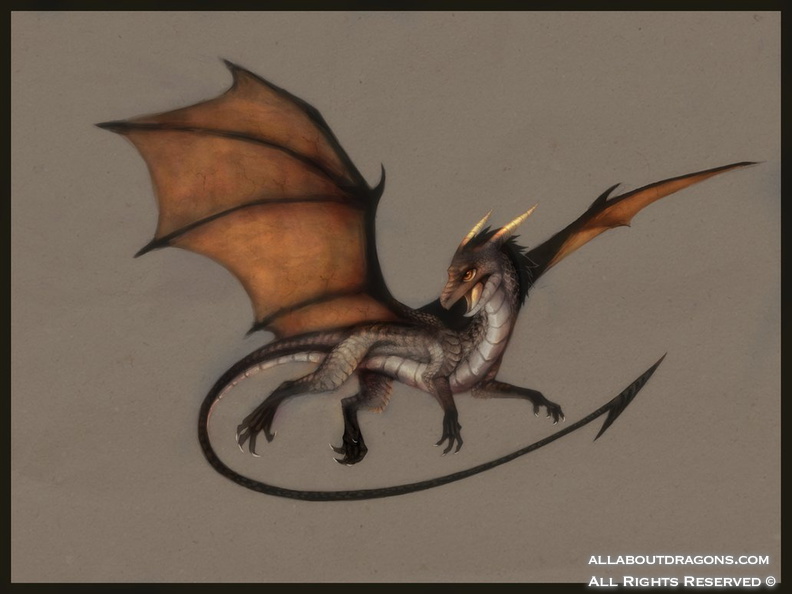 0320-dragons+flying-