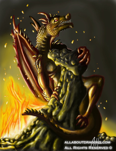 0639-dragon+fire-Fir