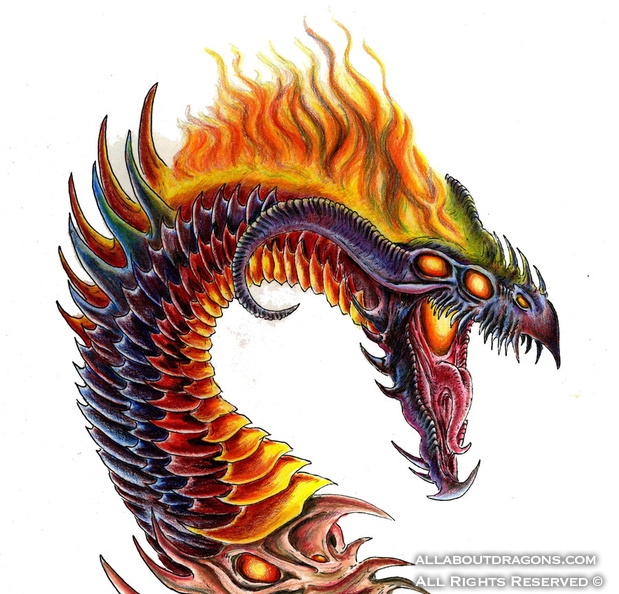1643-dragon+fire-cur