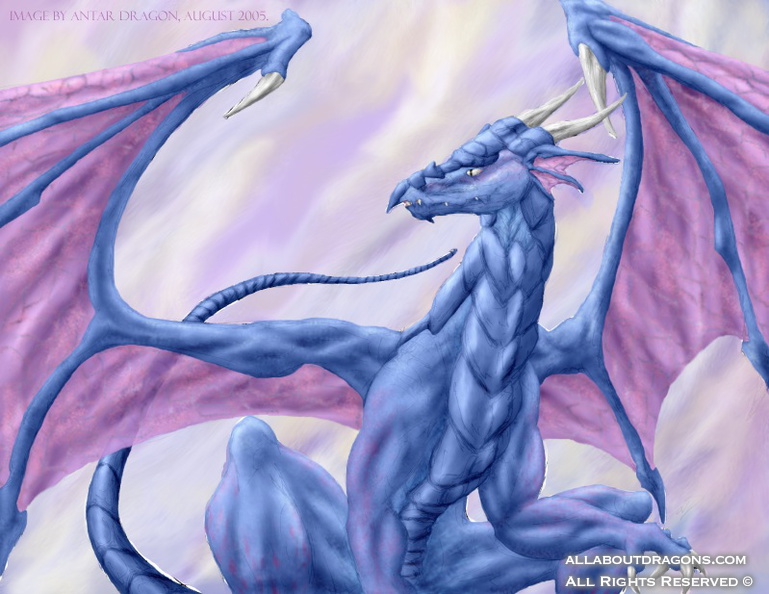 2367-dragon-Blue_Dra