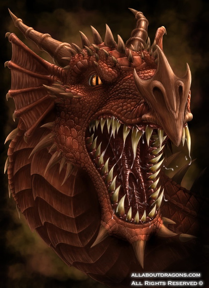 1901-dragon-Dragons_