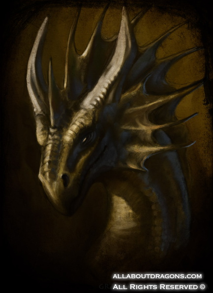 1735-dragon-Dragon_p