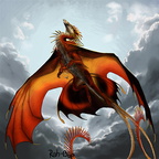 1656-dragon-Rise_Aga