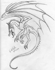 0024-flying-dragon