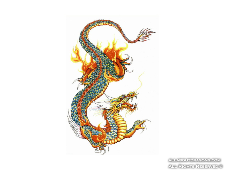 0548-japanese_painted_dragon_tattoo_design.jpg