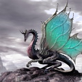 0001-Dragon-magical-