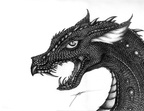0537-dragon-Black_Sc