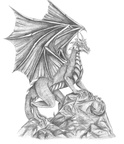 1127-dragon-dragon_b