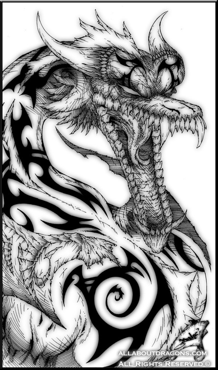 1202-dragons-Dragon_
