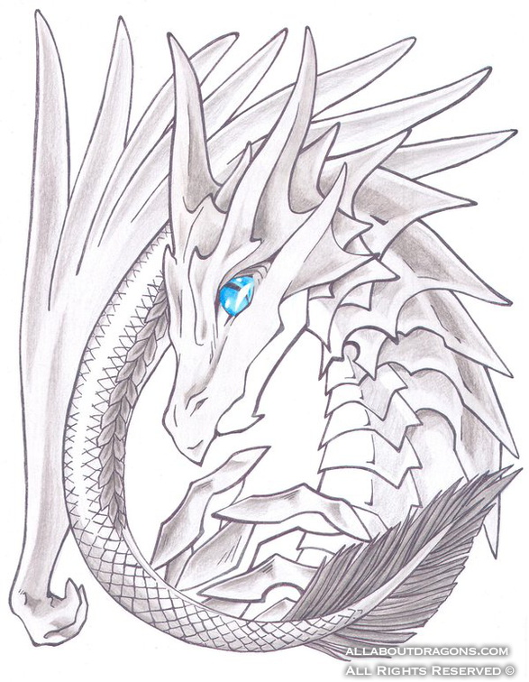 1209-dragon-Silver_D