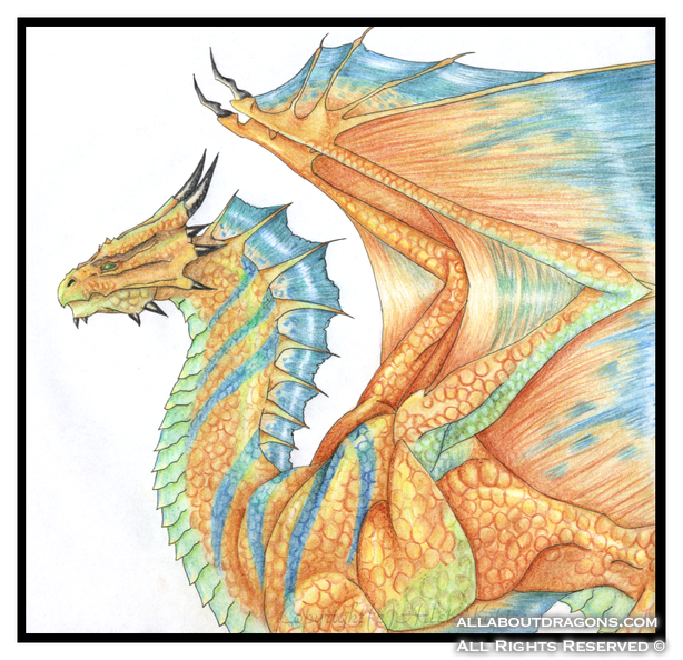 1502-dragon-Zinc_Bro