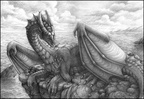 2398-dragon-Window_t